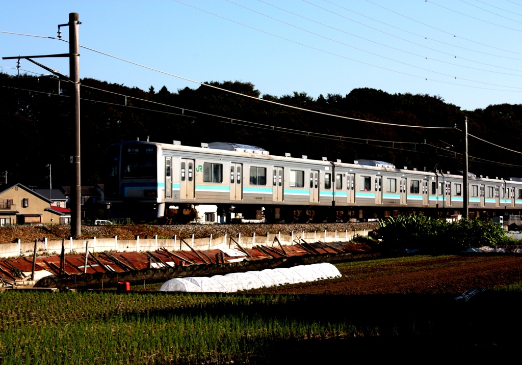 田舎をゆく