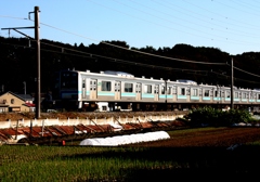 田舎をゆく