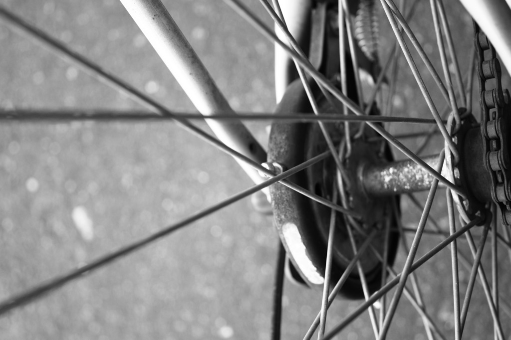 wheel