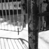 open the gate