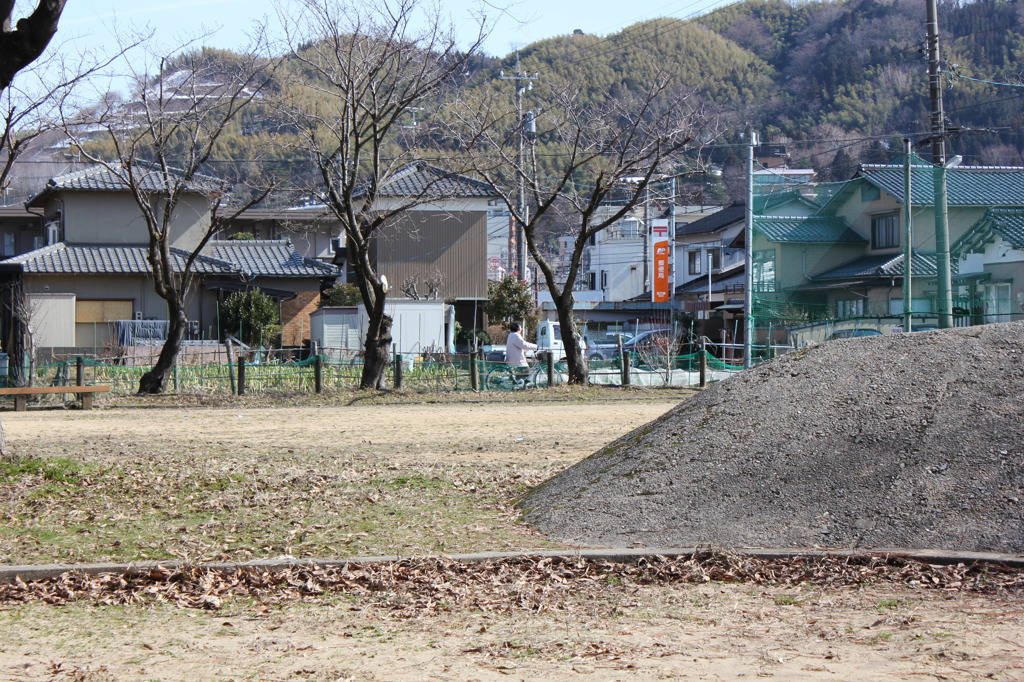 大額散歩8