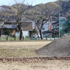 大額散歩8