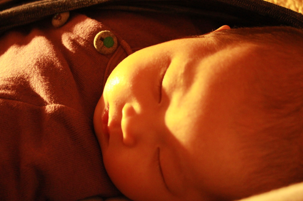 zzz・・・
