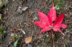 First day of fall