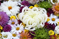 花、満席