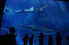 時間を忘れます