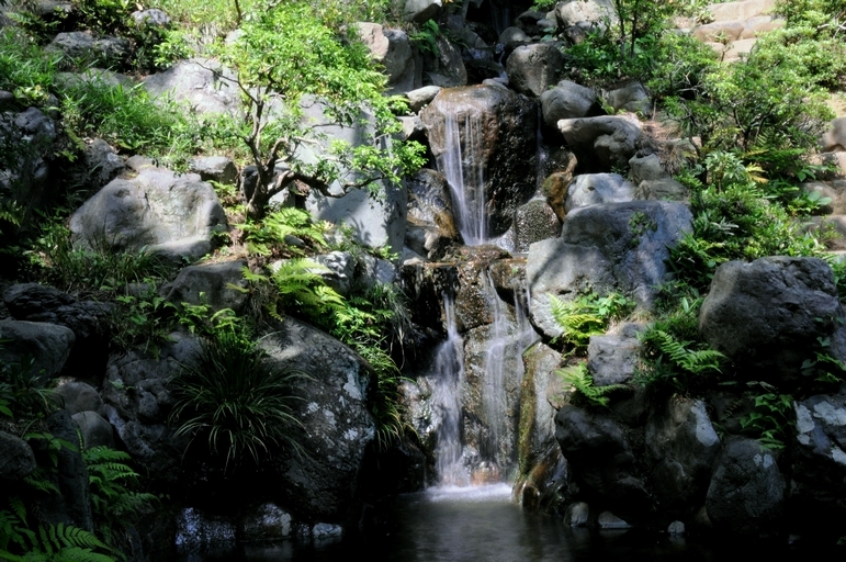 昼下がりの水源