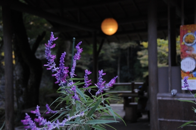 御嶽の茶屋