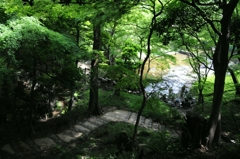 小石川の森＾＾