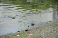 ひやぁ！気持ちいい。