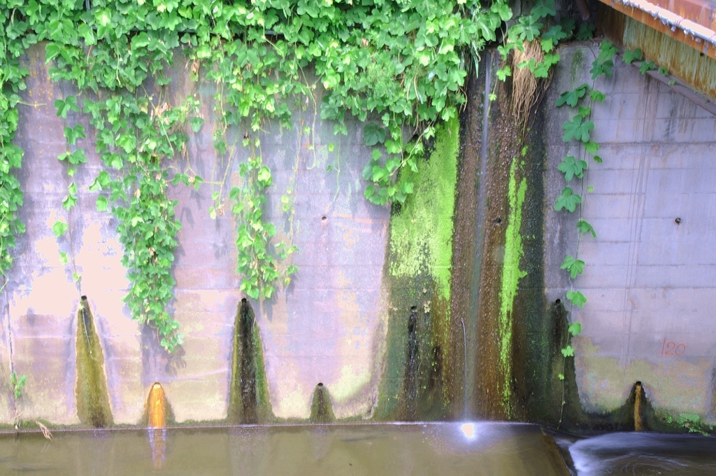 爽やかに・・・。