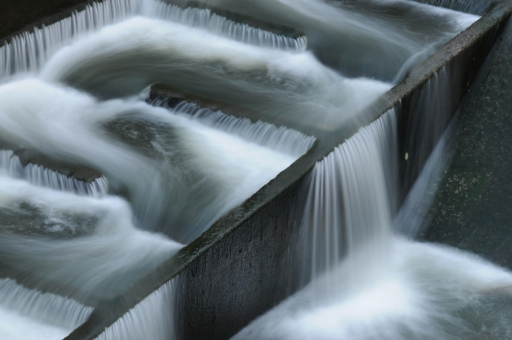 生きてるかのよう！