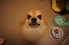 反省
