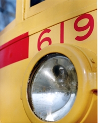 619