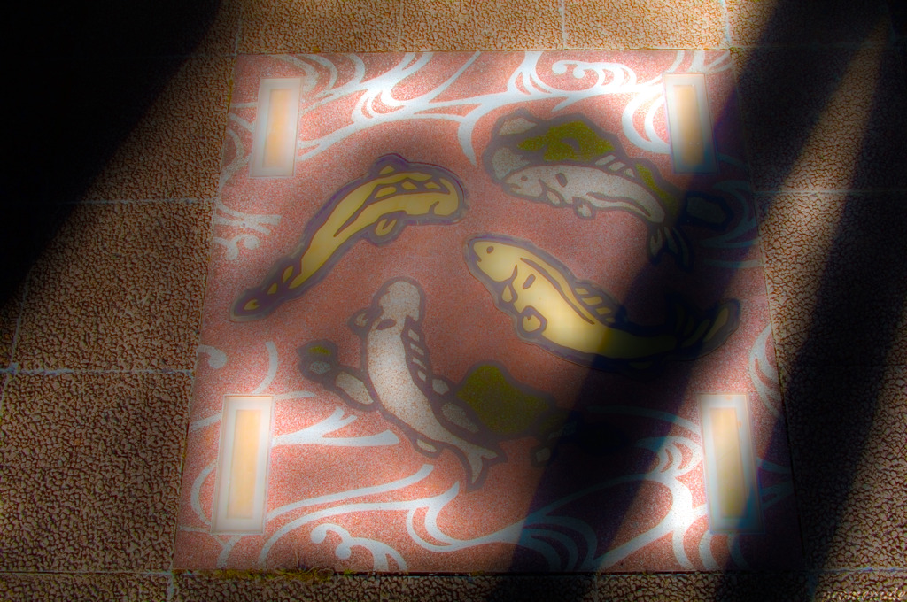 フタマニア