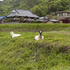 ひつじが1匹、ひつじが2匹、ヤギだし・・・