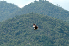 鳥瞰を側望