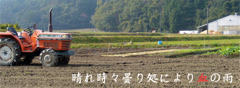 リクエスト