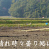 リクエスト