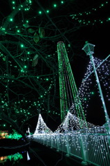 夜の動物園