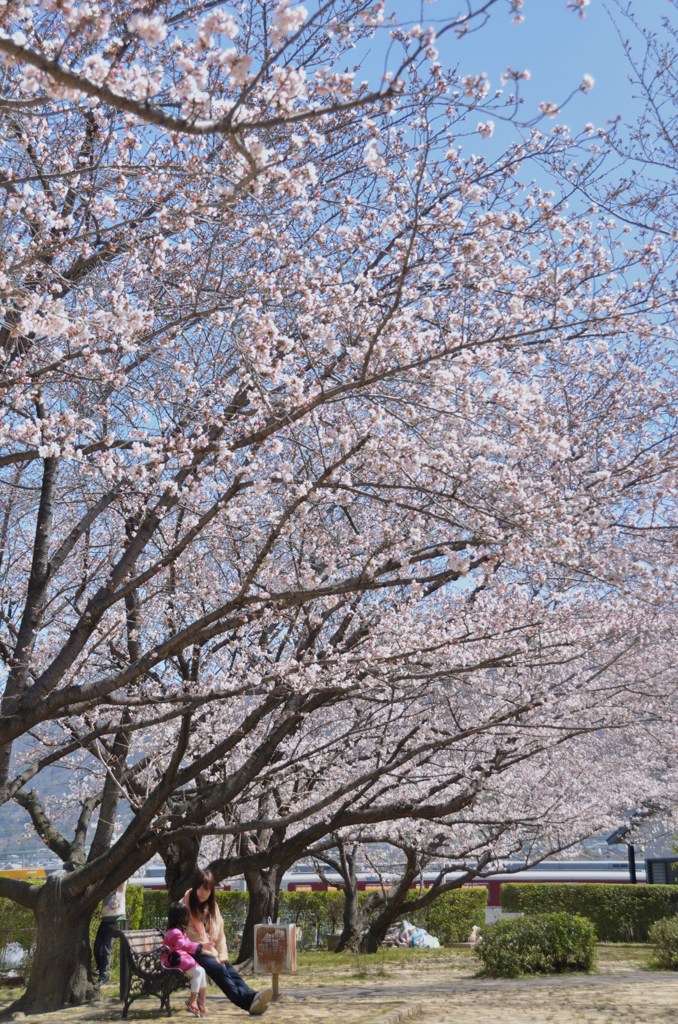 １駅歩いて桜を楽しむ　３