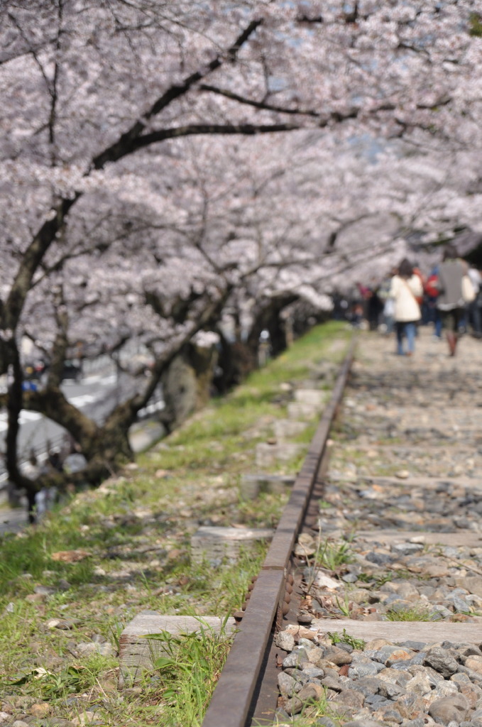 線路は続くよどこまでも…