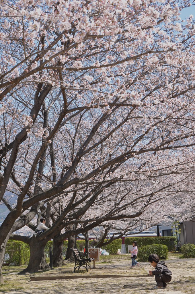 １駅歩いて桜を楽しむ　２