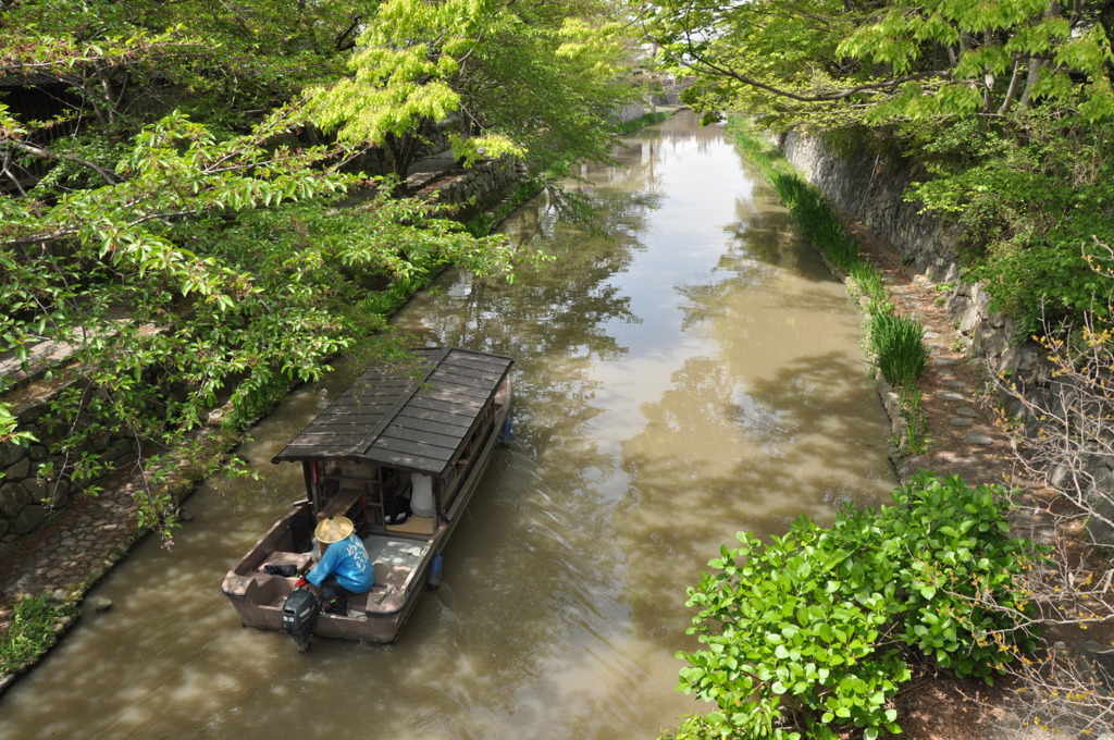 水郷巡り