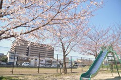 昼休みにミニ撮影