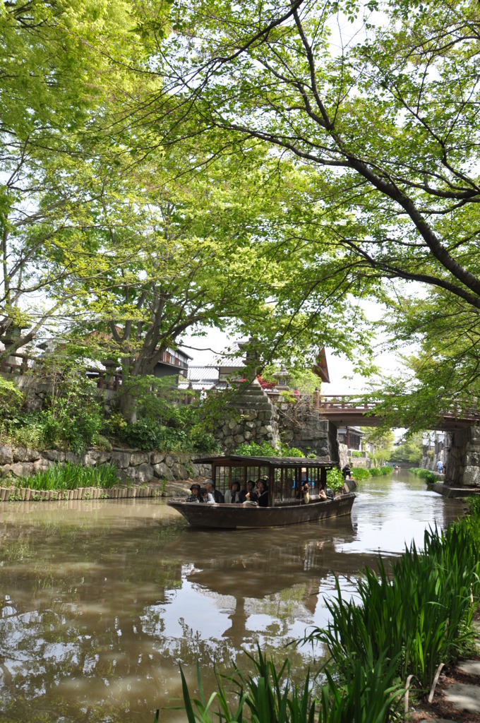 水郷巡り