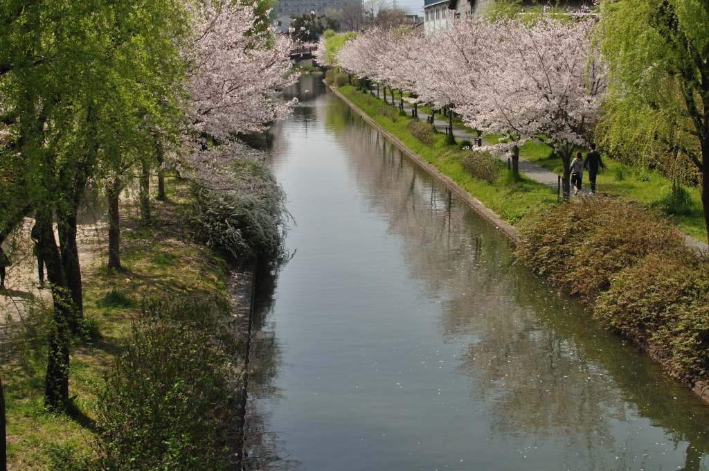 川のある風景１