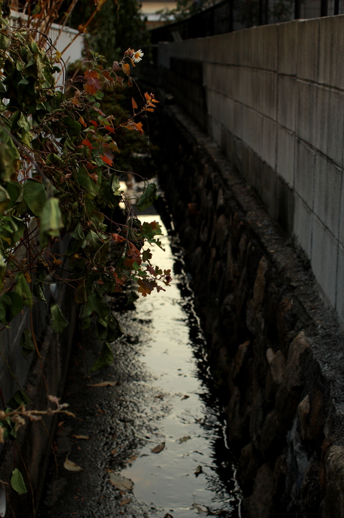 水路
