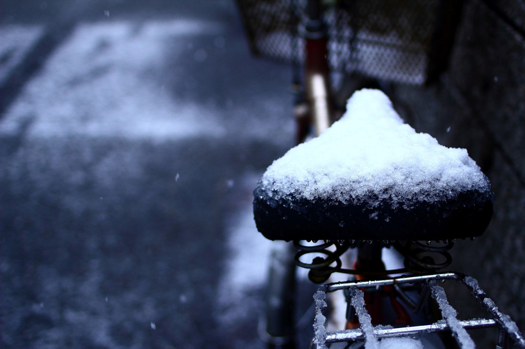 雪積もり