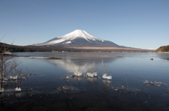 Mt.fuji110118_001