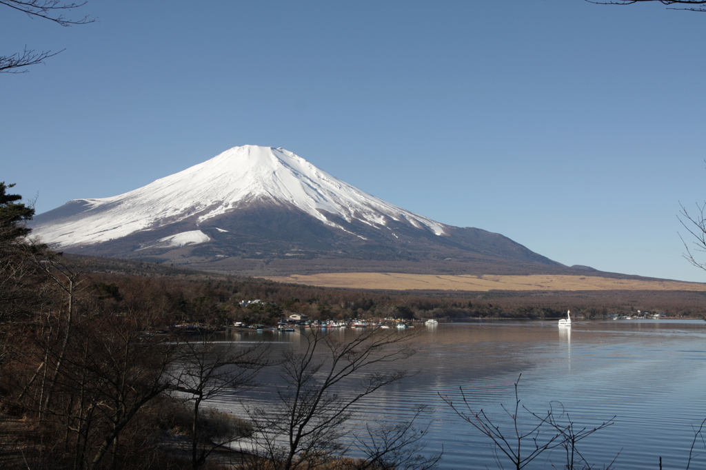 Mt.fuji110108_001