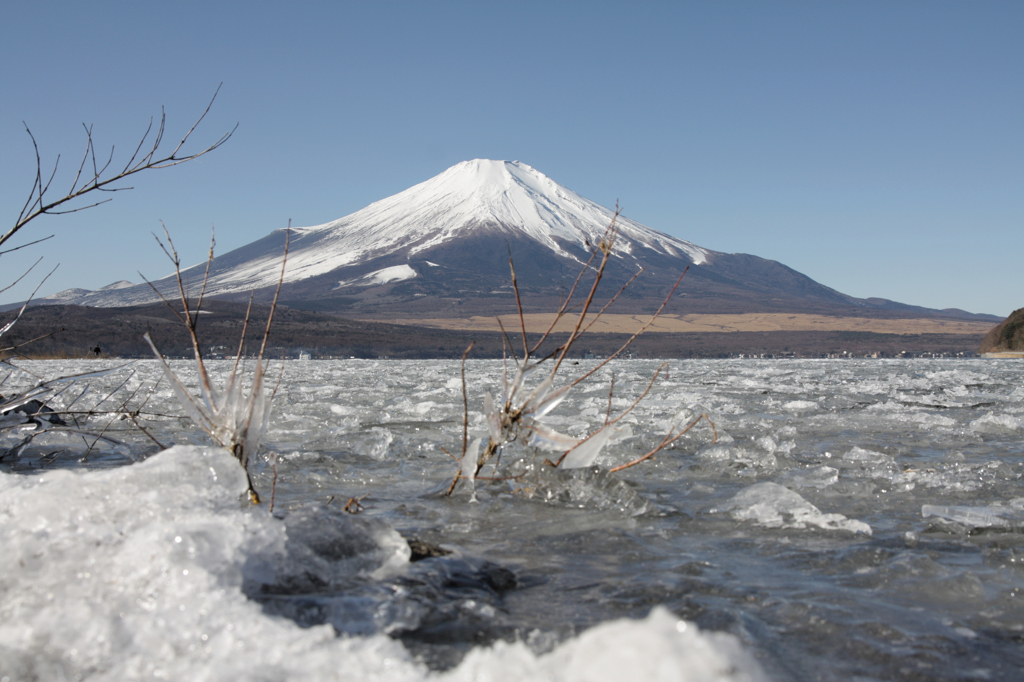 Mt.fuji110119_002