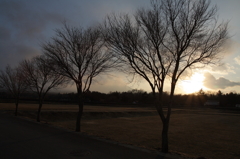 花の都公園の夕暮れ