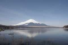 3/14朝の富士山001