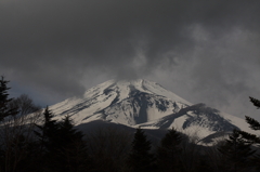 水が塚公園の富士山110407_006