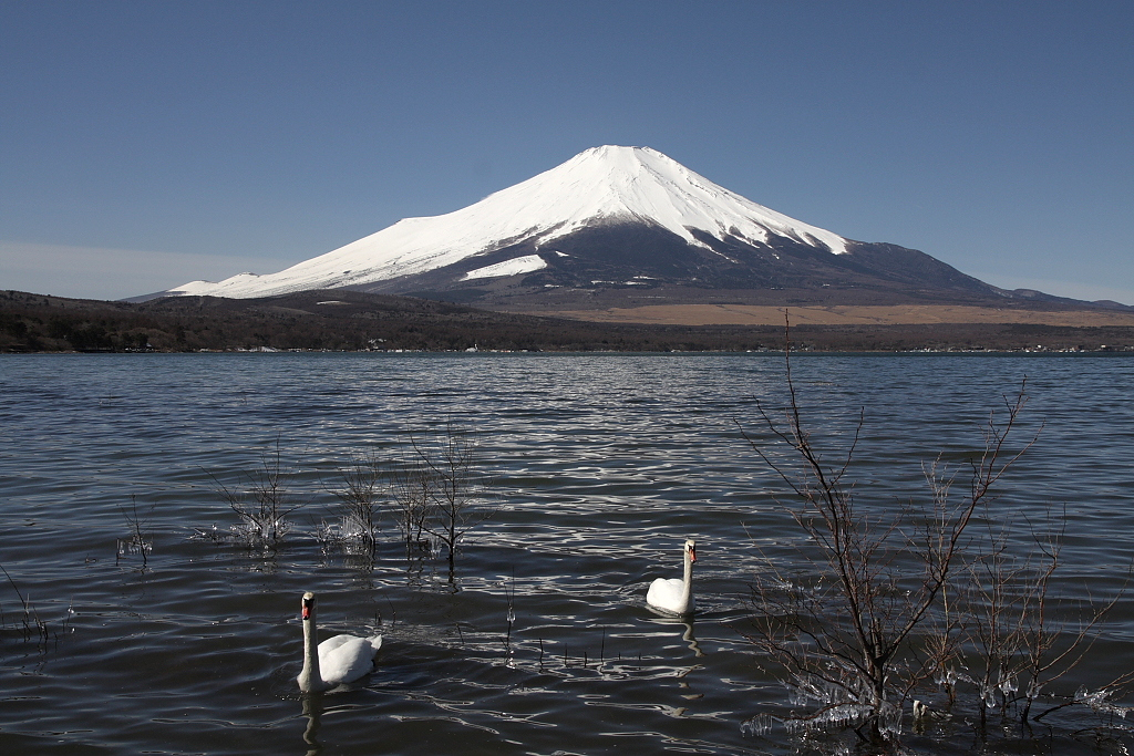 Mt.fuji110318_004