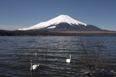 Mt.fuji110318_004