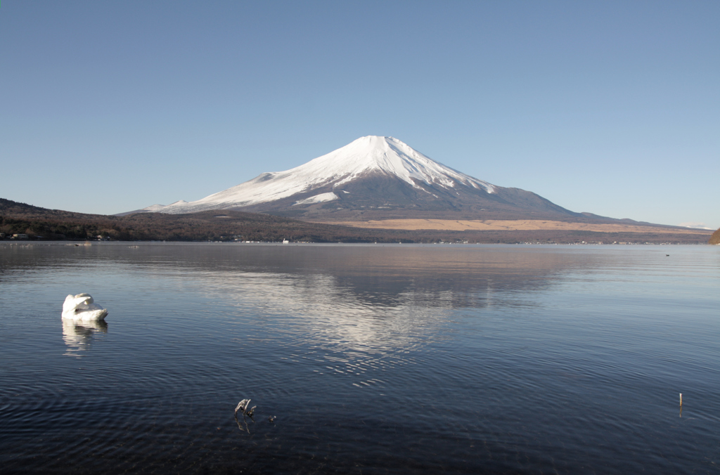 Mt.fuji110105_005