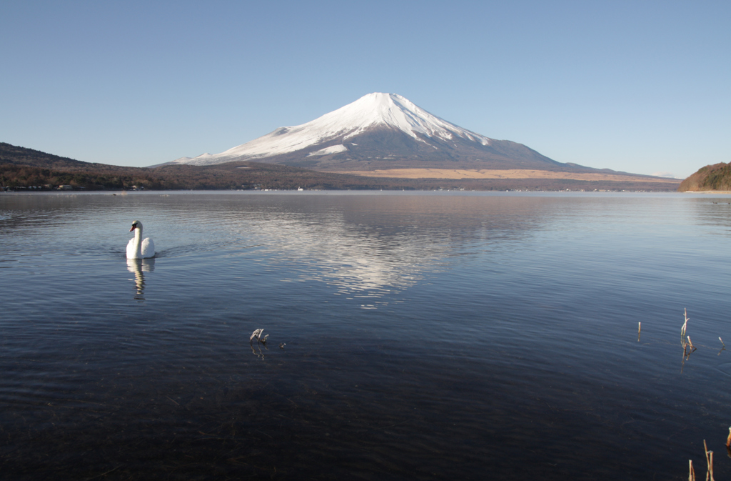 Mt.fuji110105_004