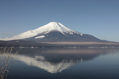 Mt.fuji110114_005