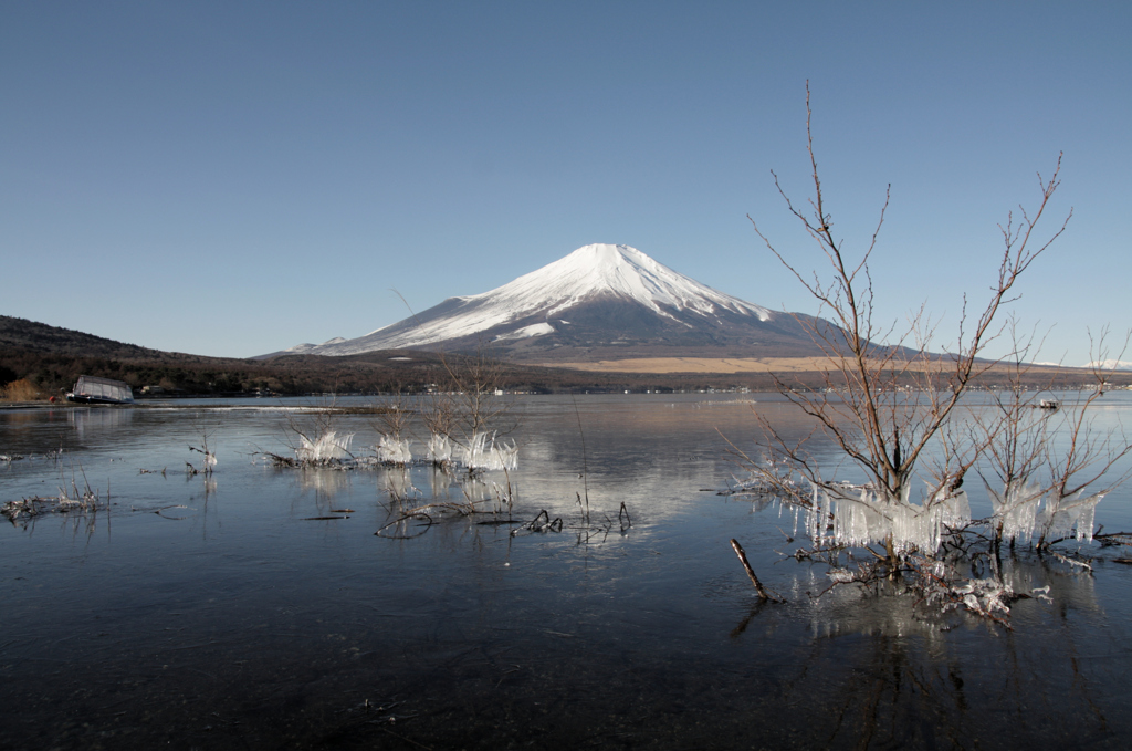 Mt.fuji110118_002