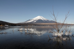 Mt.fuji110118_002