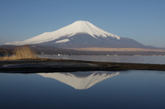 3/31朝の富士山_002