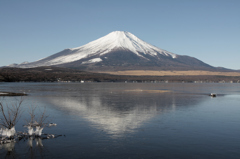 Mt.fuji110118_003