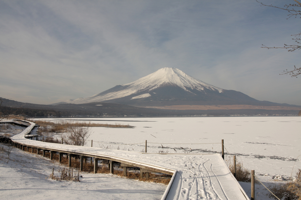Mt.fuji110124_005