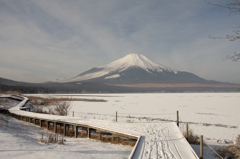Mt.fuji110124_005